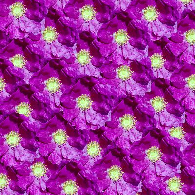 Collage "Herzvariation_Ausschnitt