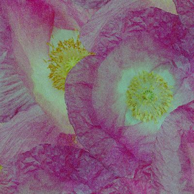 Ausschnitt aus Collage "In das Licht - aus dem Licht"