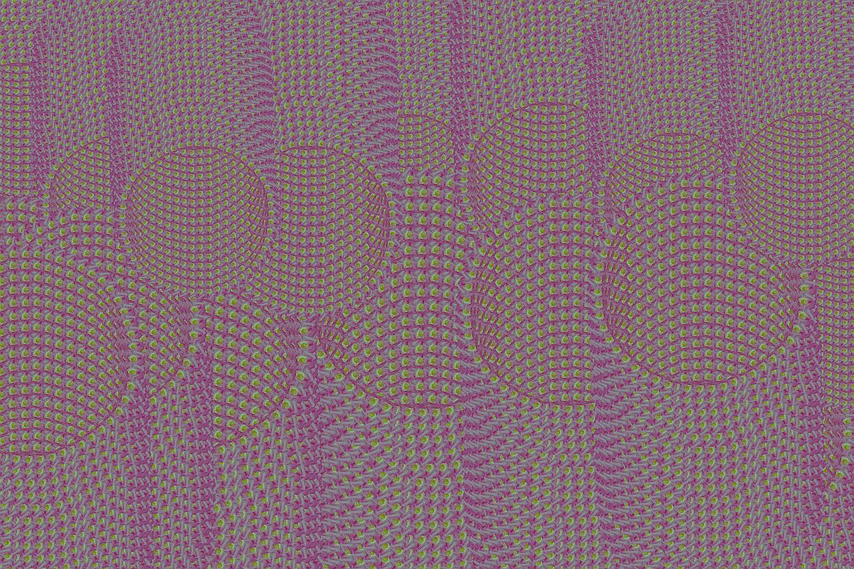 Mohnvariation_verkleinert